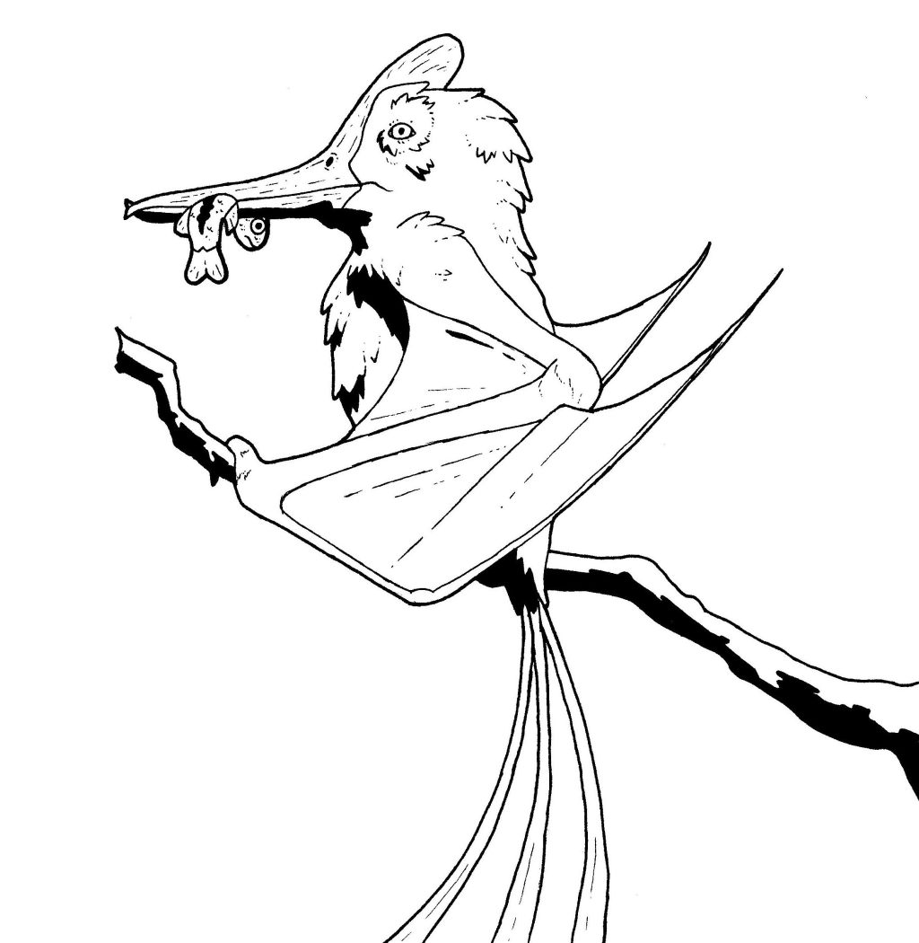 The Skimmer Drake&nbsp;(Gaea)